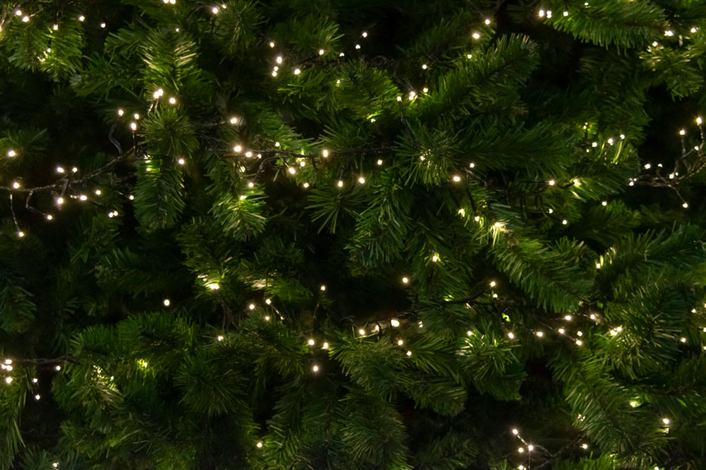 Lights on a Christmas tree