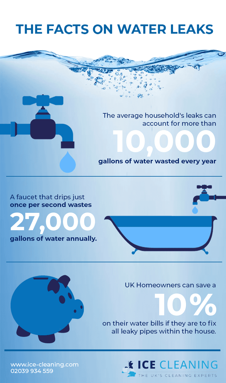 The facts of water leaks infographic