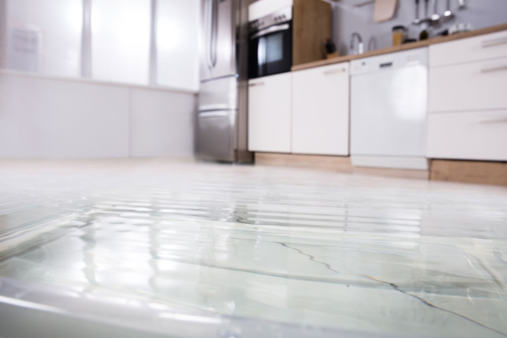 flood light in kitchen