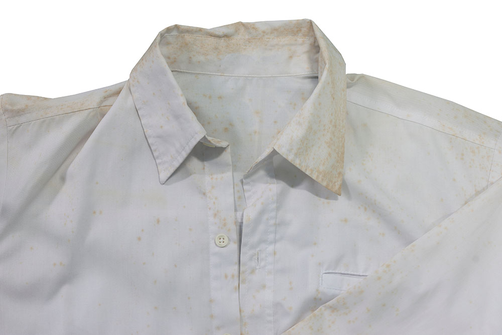 Yellow fungus growing on a white shirt