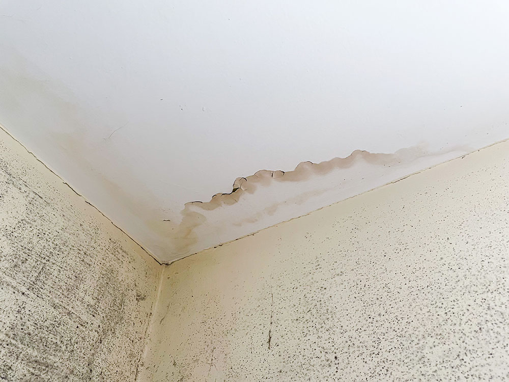 Inside of house with a damp and mould issue