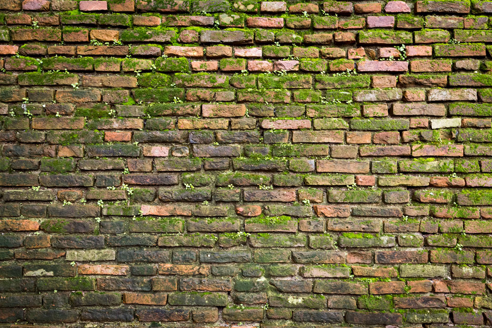 A brick wall covered in moss and stains