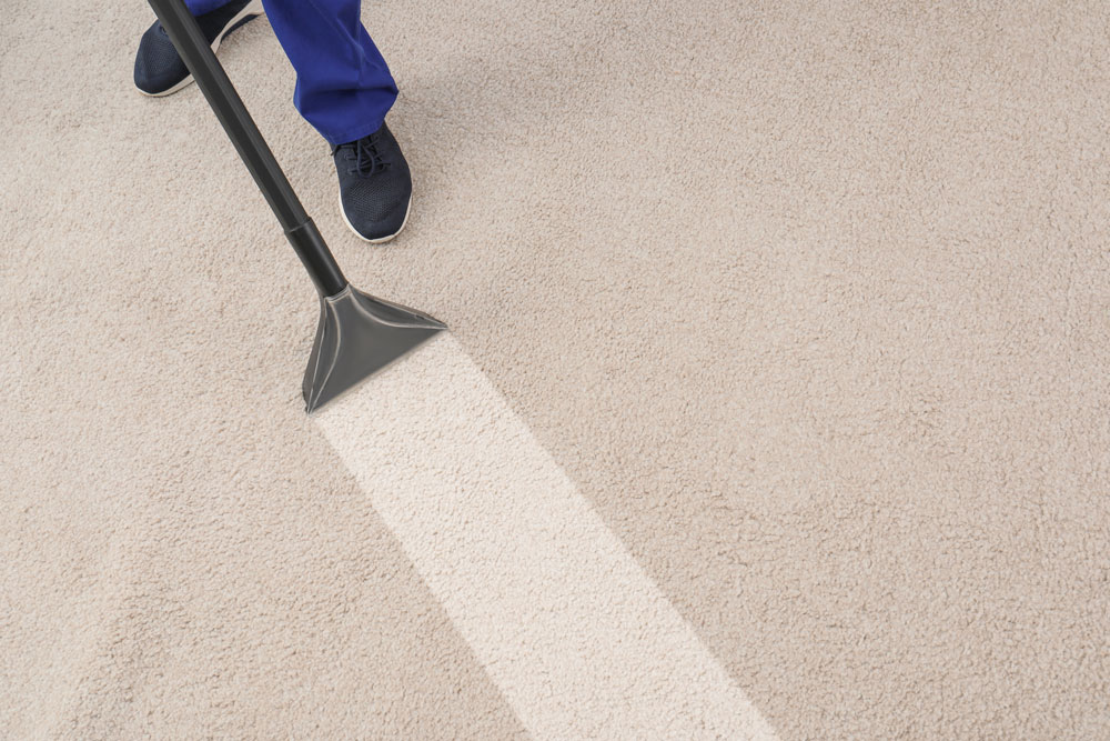 Cleaner cleaning a cream carpet