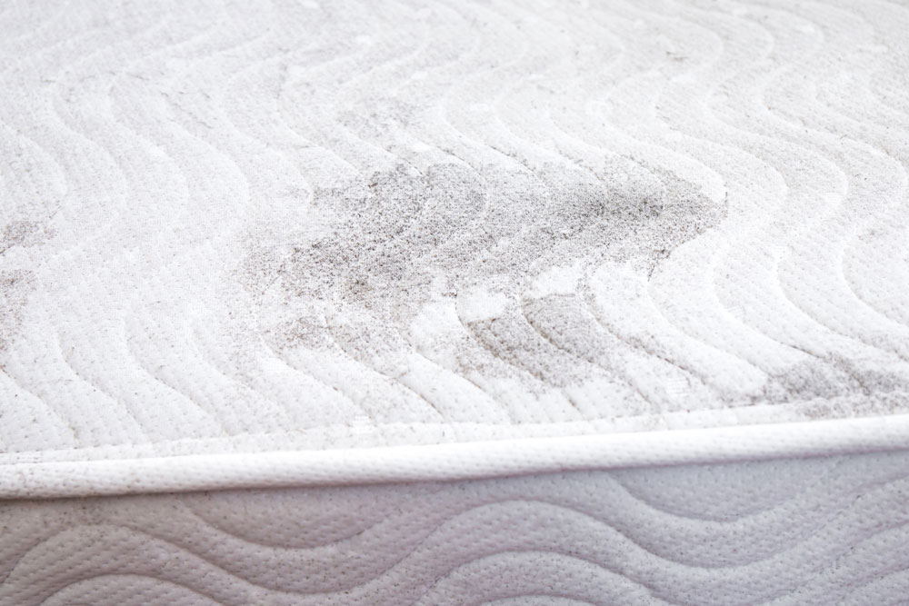 Mould on a mattress