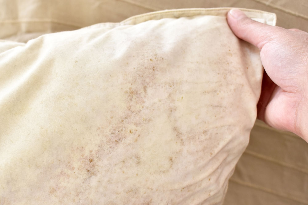 Mould on a pillowcase