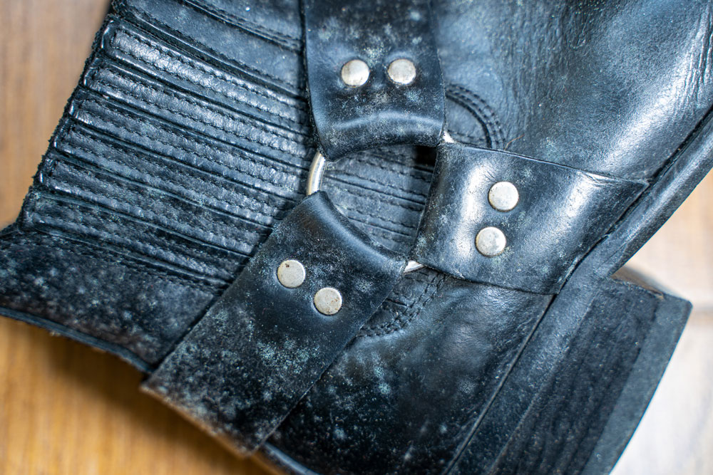 Mould on a leather shoe