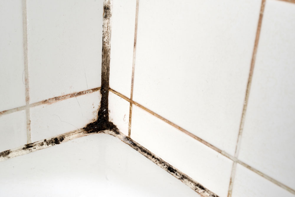 Black mould on bathroom silicone sealant