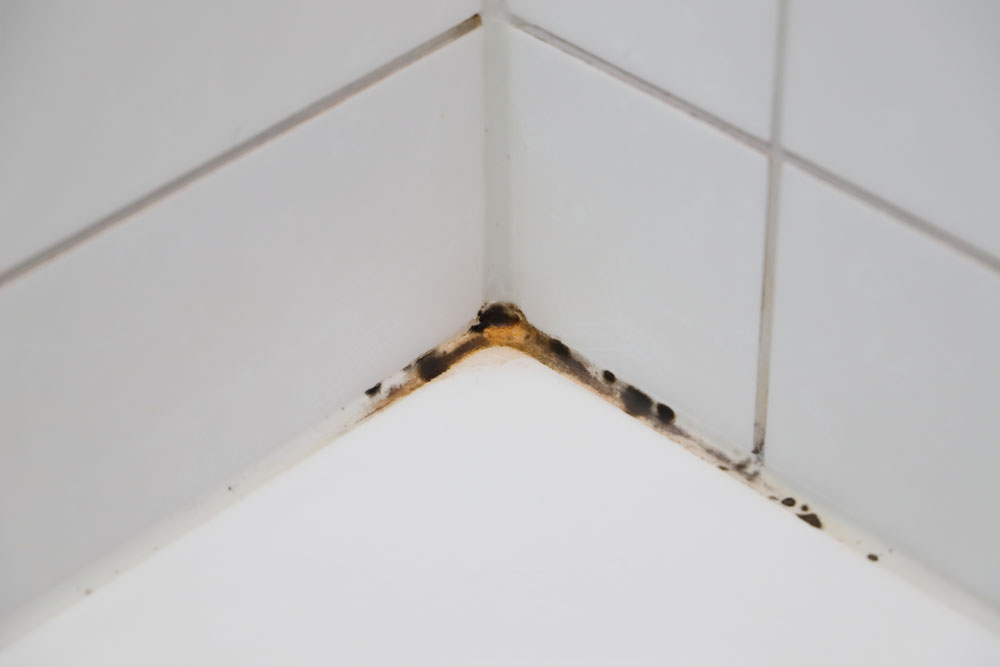 Mould in sealant in a bathroom