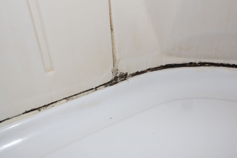 Black mould in shower grout and silicone