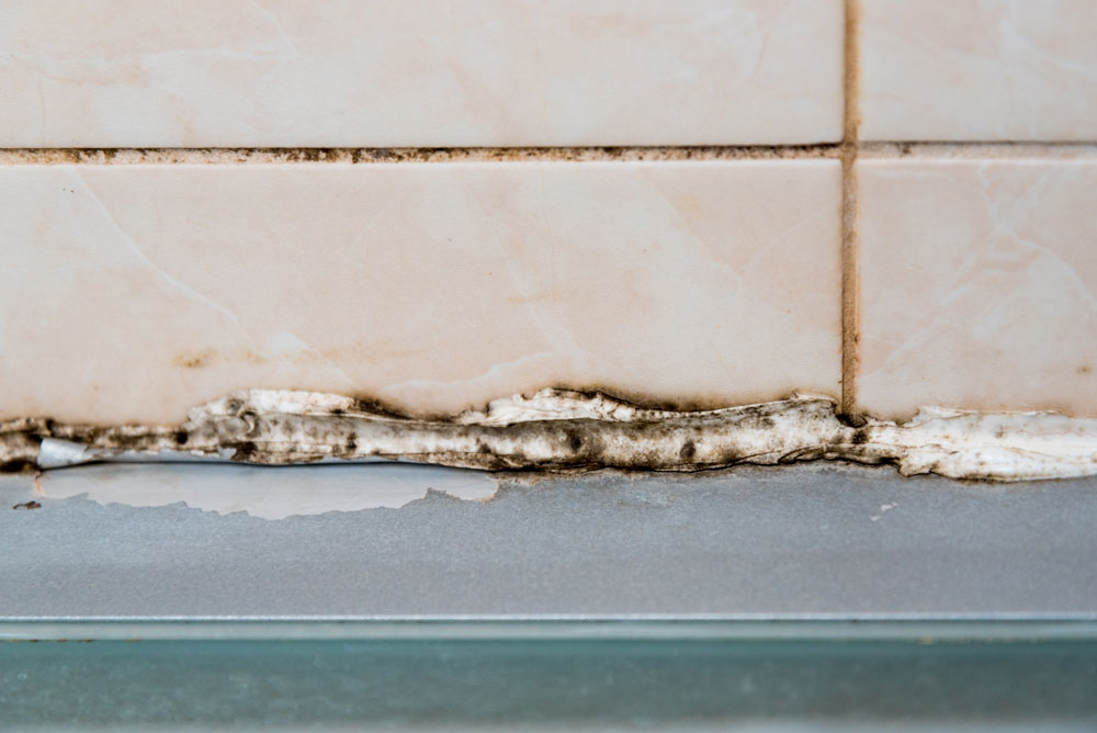 Black mould on silicone sealant in the bathroom
