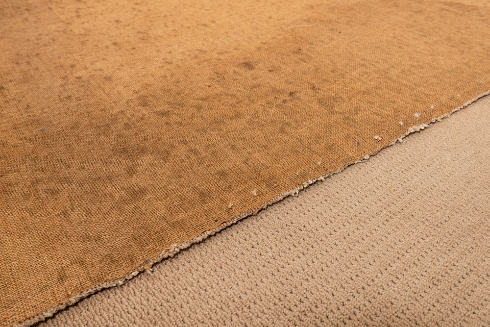 mould on a carpet