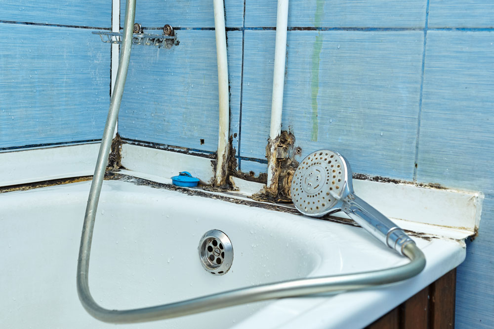 Black mould in sealant and on bathtub