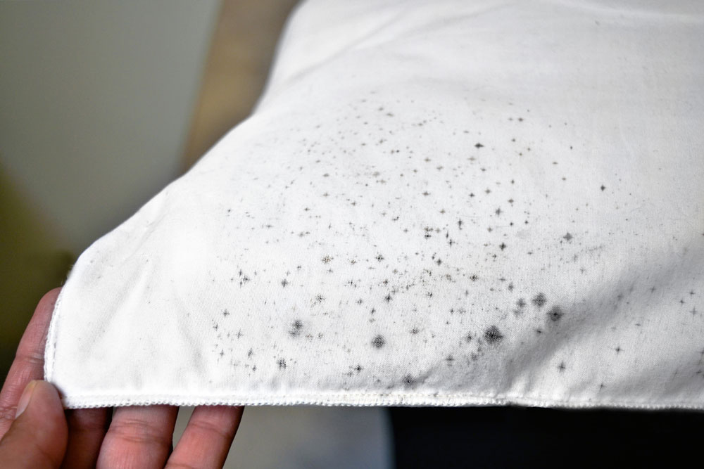 Mould on a piece of white fabric