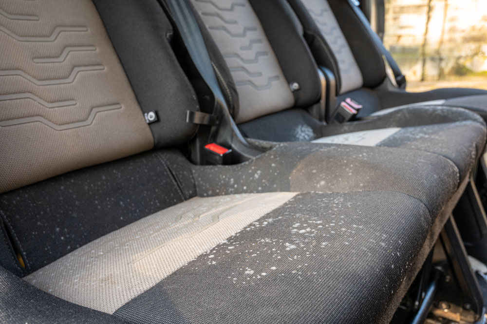 Mould on car seats