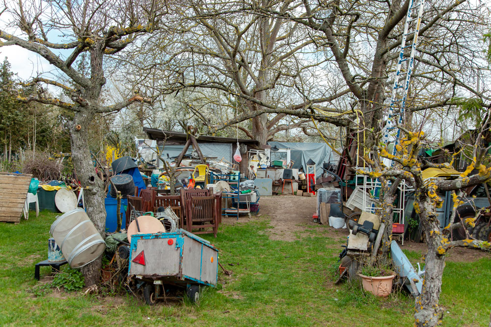 A hoarder's garden