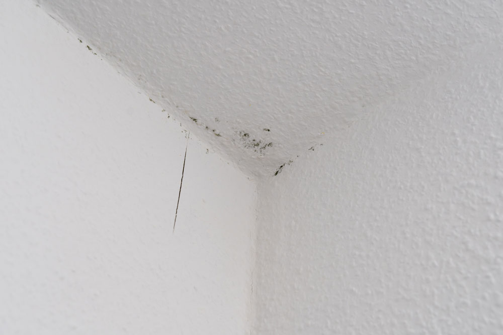 mould growing on the corner of a ceiling