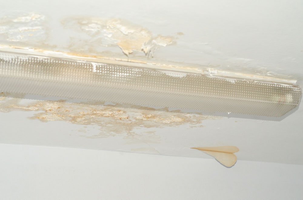 White mould growing on a ceiling