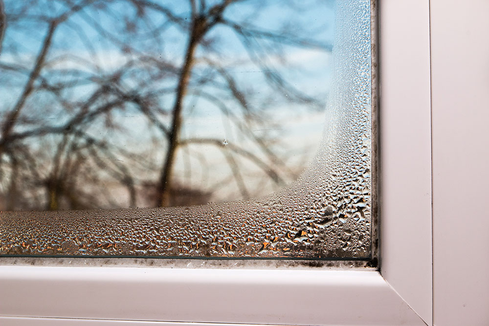 A window with condensation in the winter