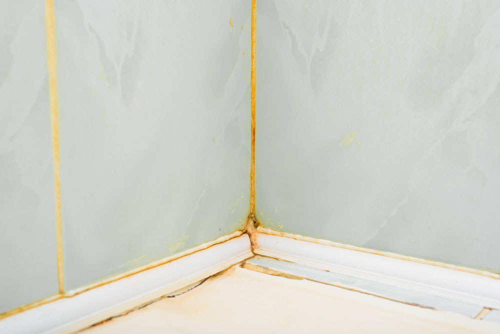 Yellow mould in grout