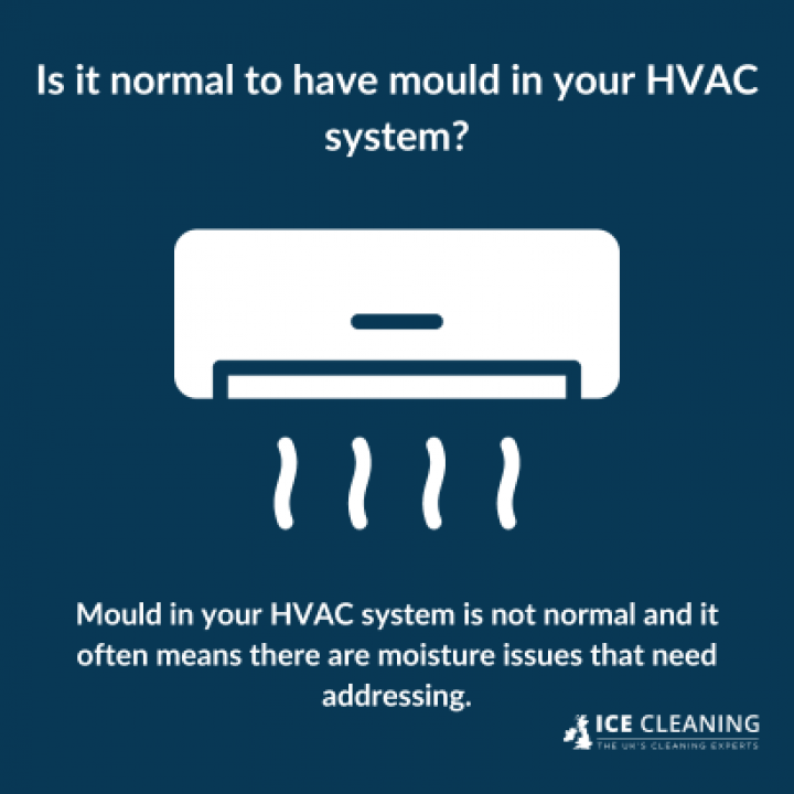 How to Keep Mould Out of Your HVAC System