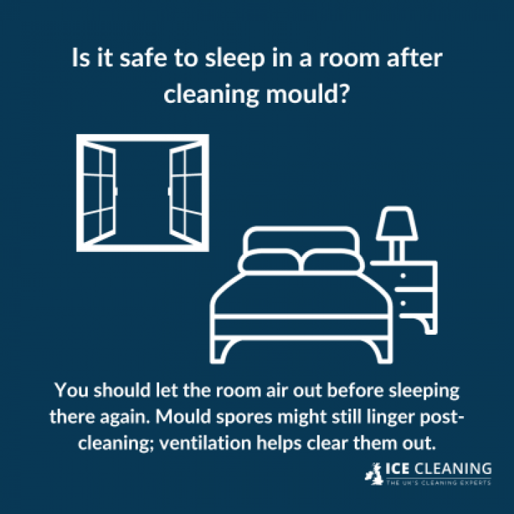 How Does Mould Affect Your Mental Health?