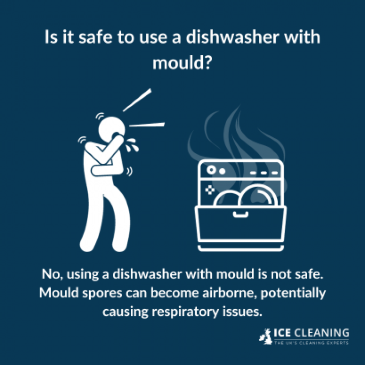 How To Clean Black Mould Out Of Dishwasher