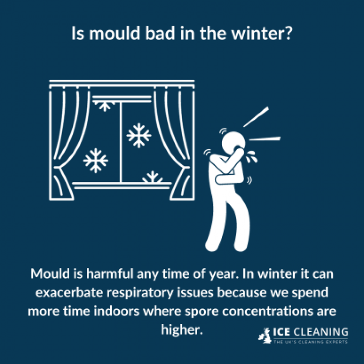 Can Mould Grow In Winter Or Cold Weather?