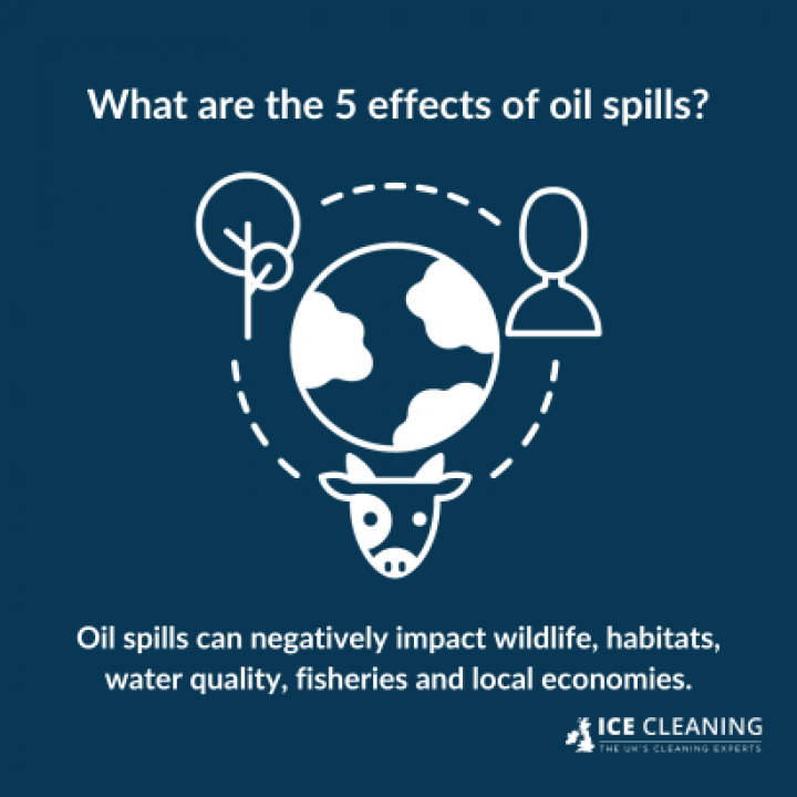 What Are The LongTerm Effects Of Oil Spills?