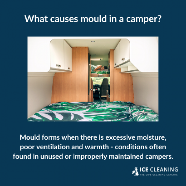 How to Prevent Mould in Your Campervan