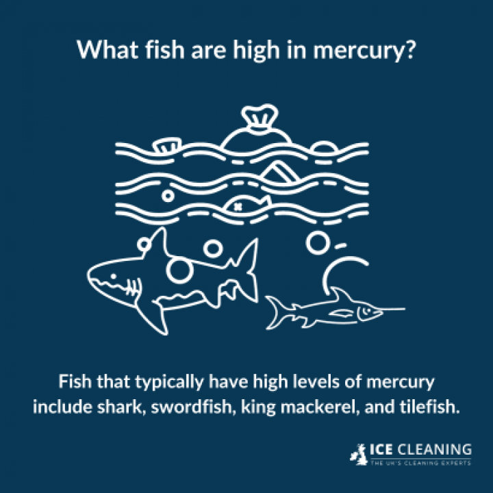 How To Avoid Mercury Exposure