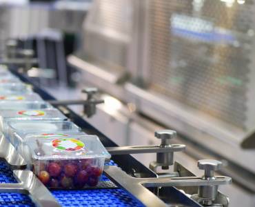 What Impact Has COVID-19 Had On The Food Production Industry?