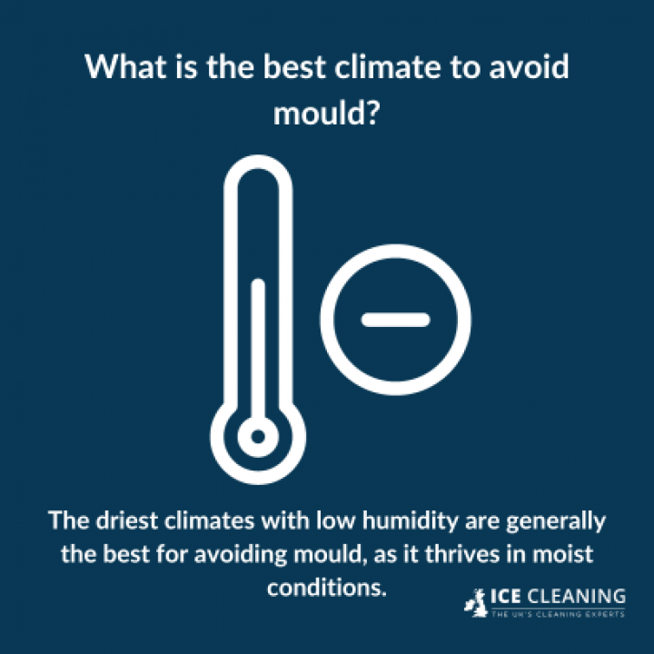 How Mould Survives In Different Climates