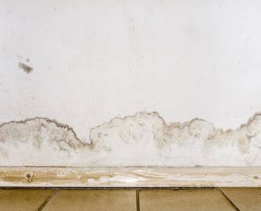 Why Does My House Smell Damp When It Rains?