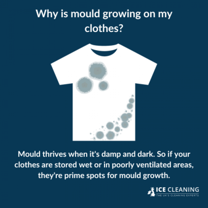 Is Mould On Clothes Dangerous?