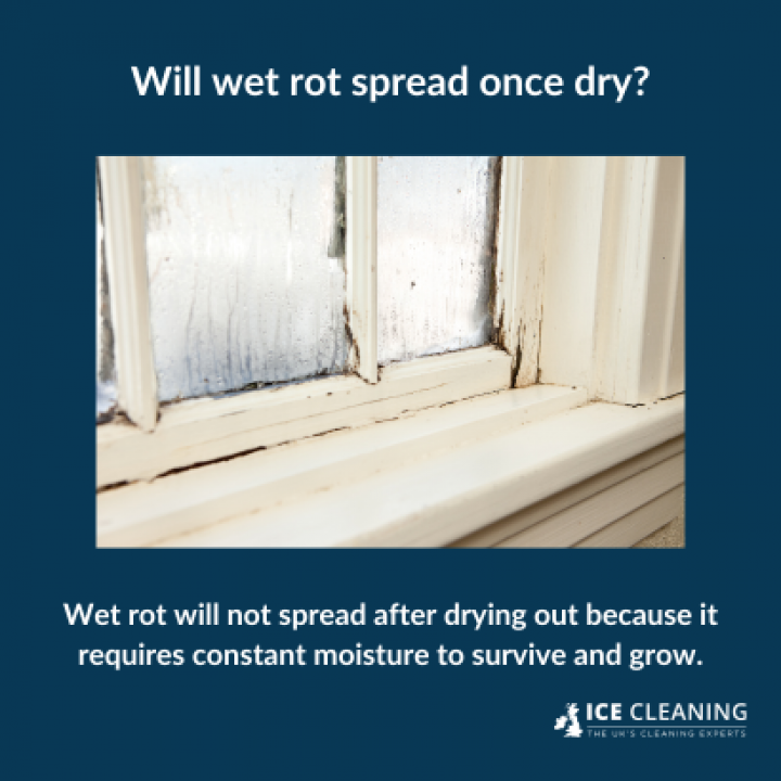 What Is The Difference Between Dry Rot And Wet Rot?